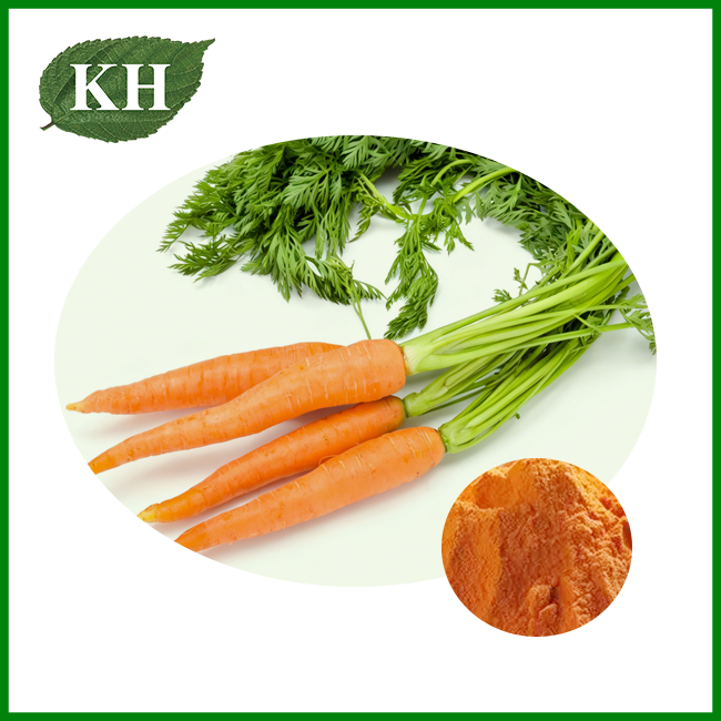 Carrot Powder Carrot Powder